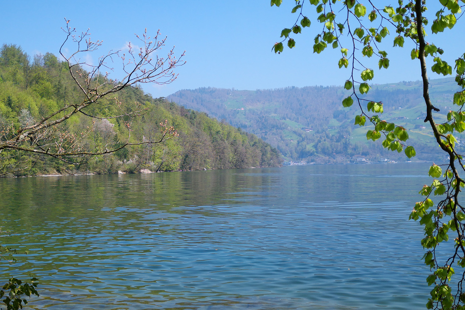 Zugersee