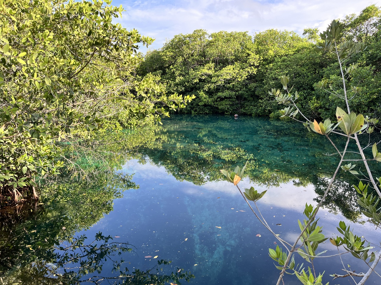 Casa Cenote